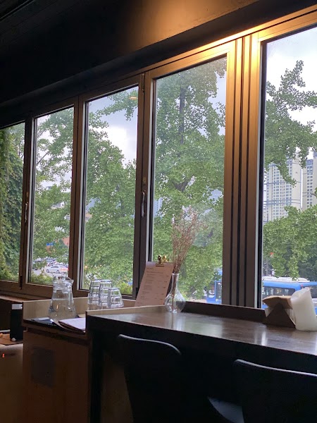View from wine bar counter overlooking urban trees and street through glass window