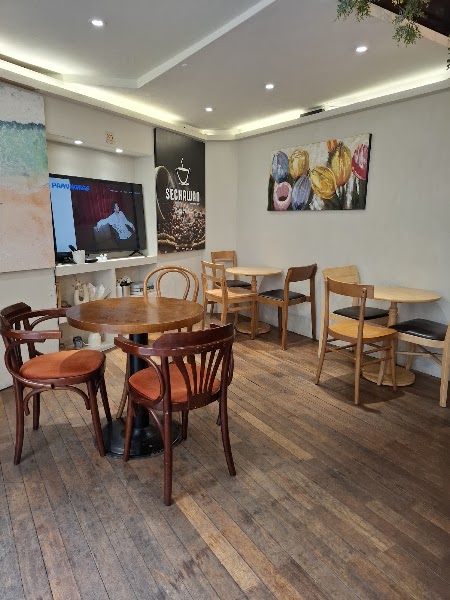 Minimalist dining space with wooden furniture