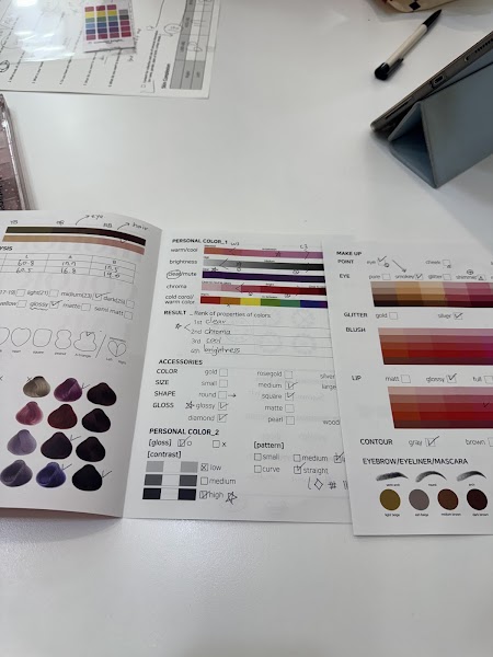 Diagnostic charts and questionnaires prepared for a client session