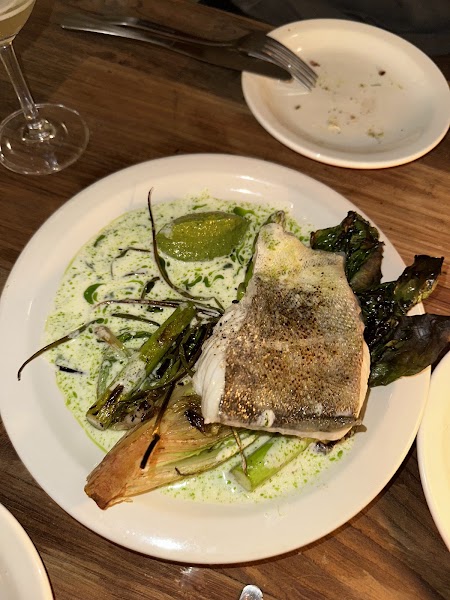 Plated seared fish filet resting on roasted leeks with green herb sauce