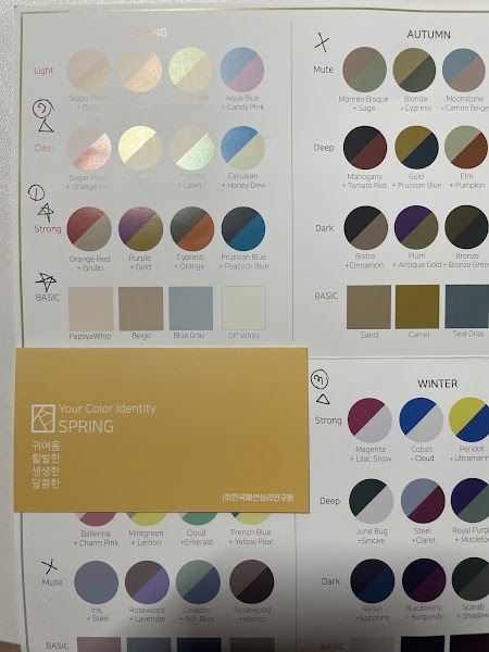 Seasonal color swatch card documentation and diagnostic charts