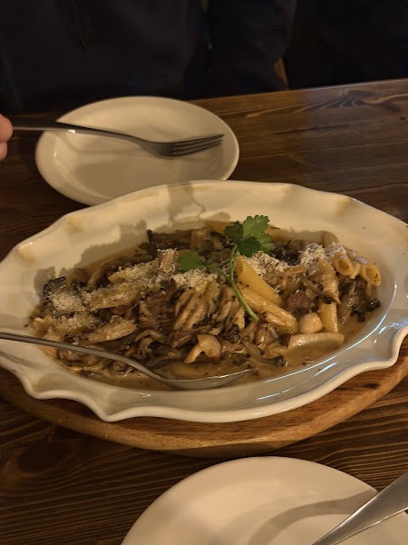 Creamy mushroom penne pasta with cheese and parsley on a scalloped ceramic plate