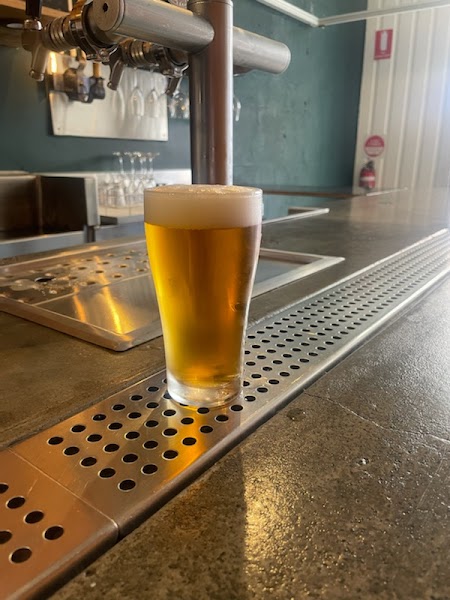 Freshly poured golden pint of beer sitting on a textured metal bar counter