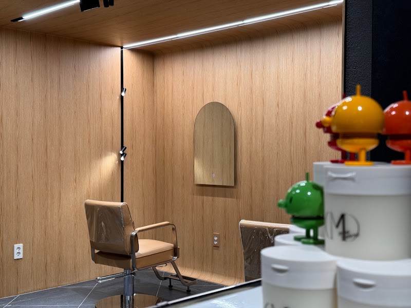 Minimalist wood panel consultation suite with styling chair and track lighting