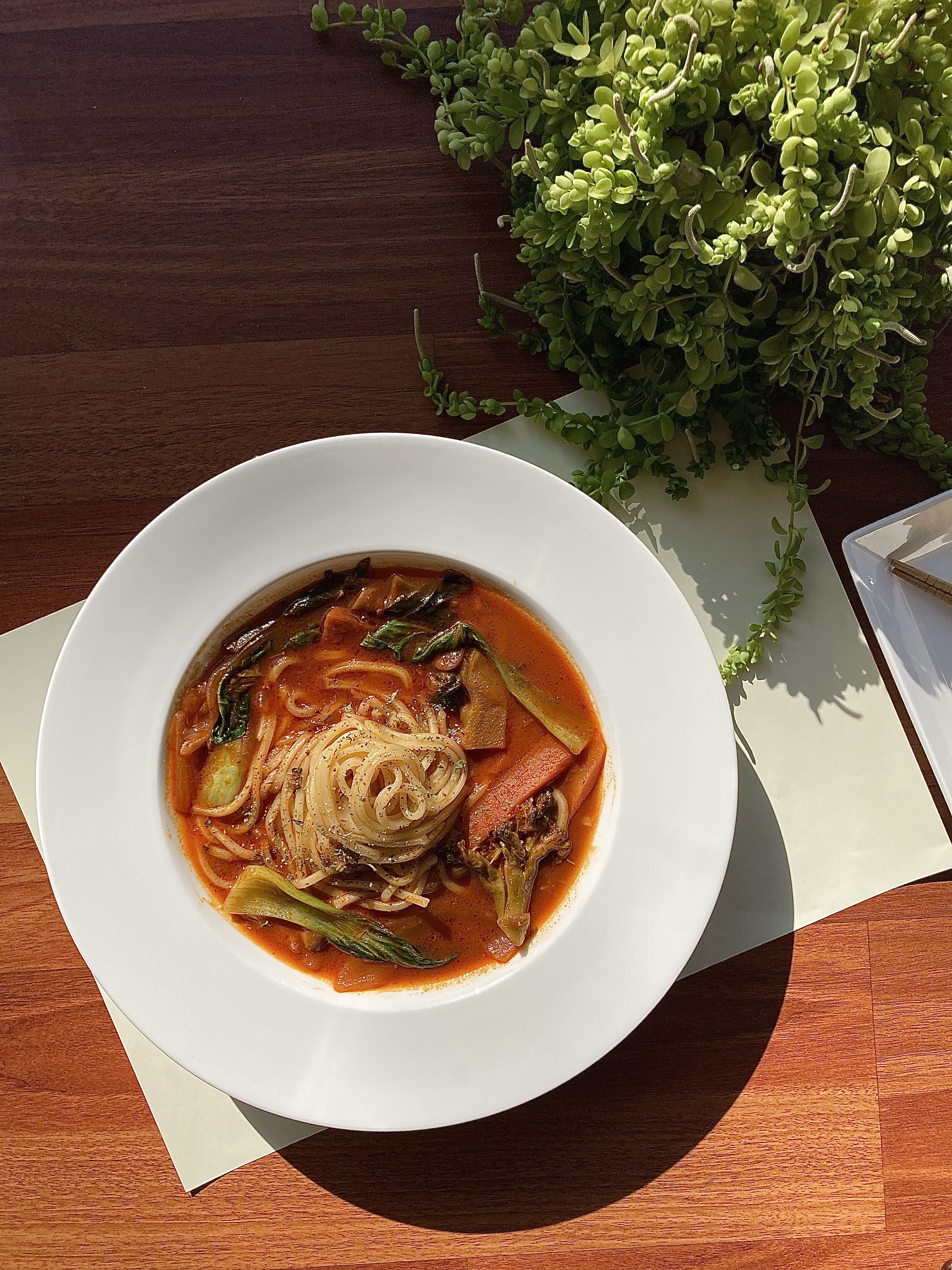 Hot Tomato Noodle Soup