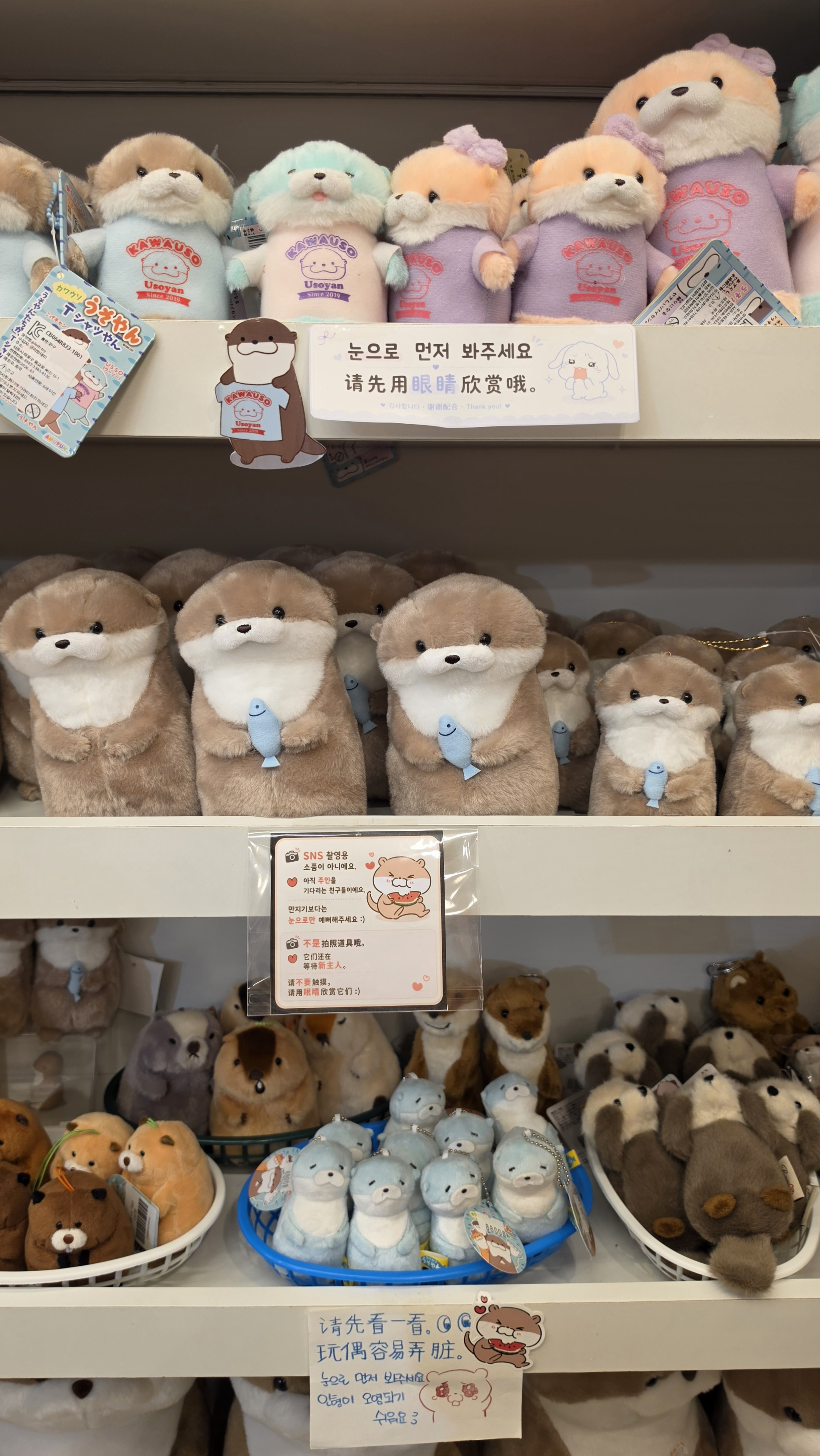 Shelves filled with various otter plush toys and character goods
