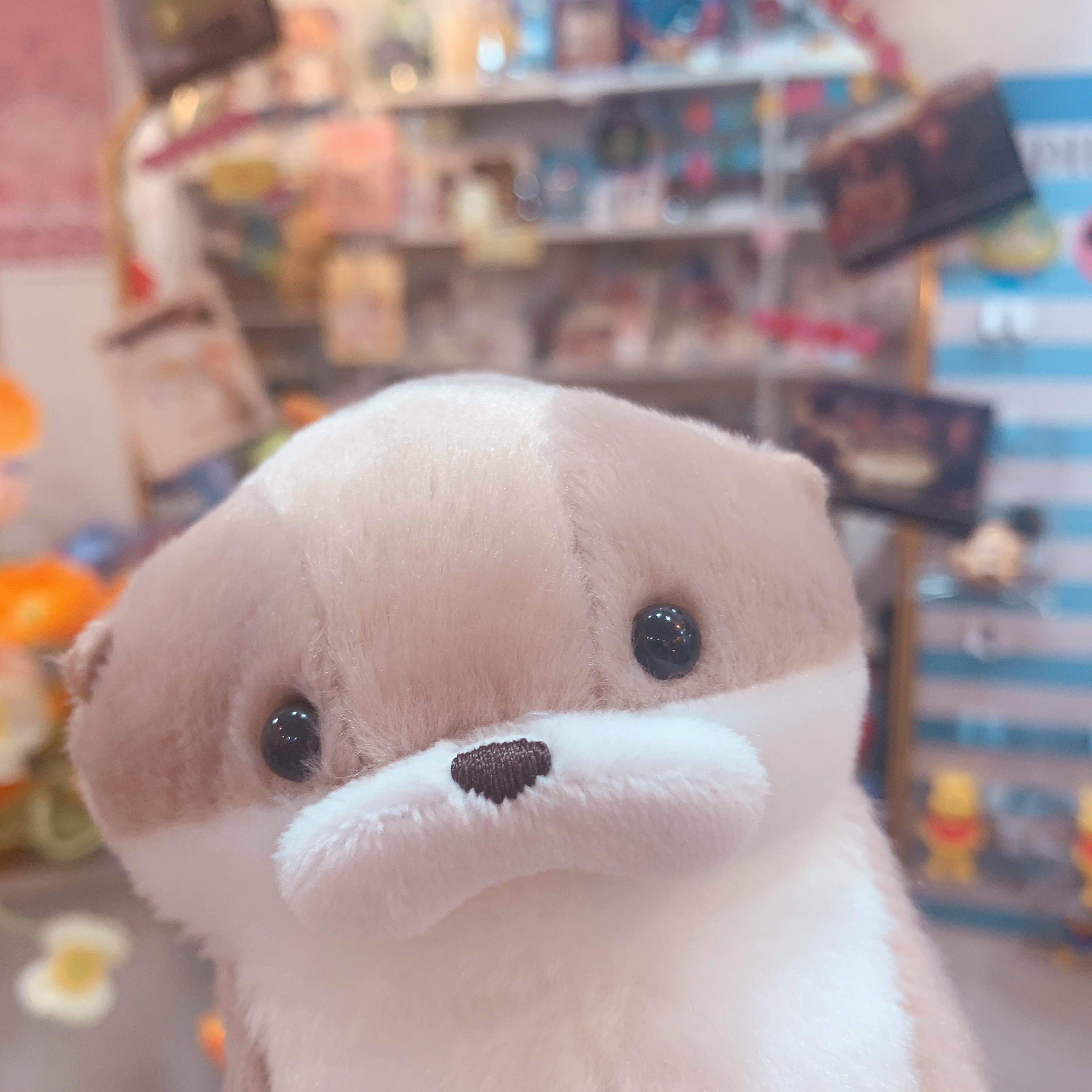 Close-up portrait of soft beige and white sea otter plush toy