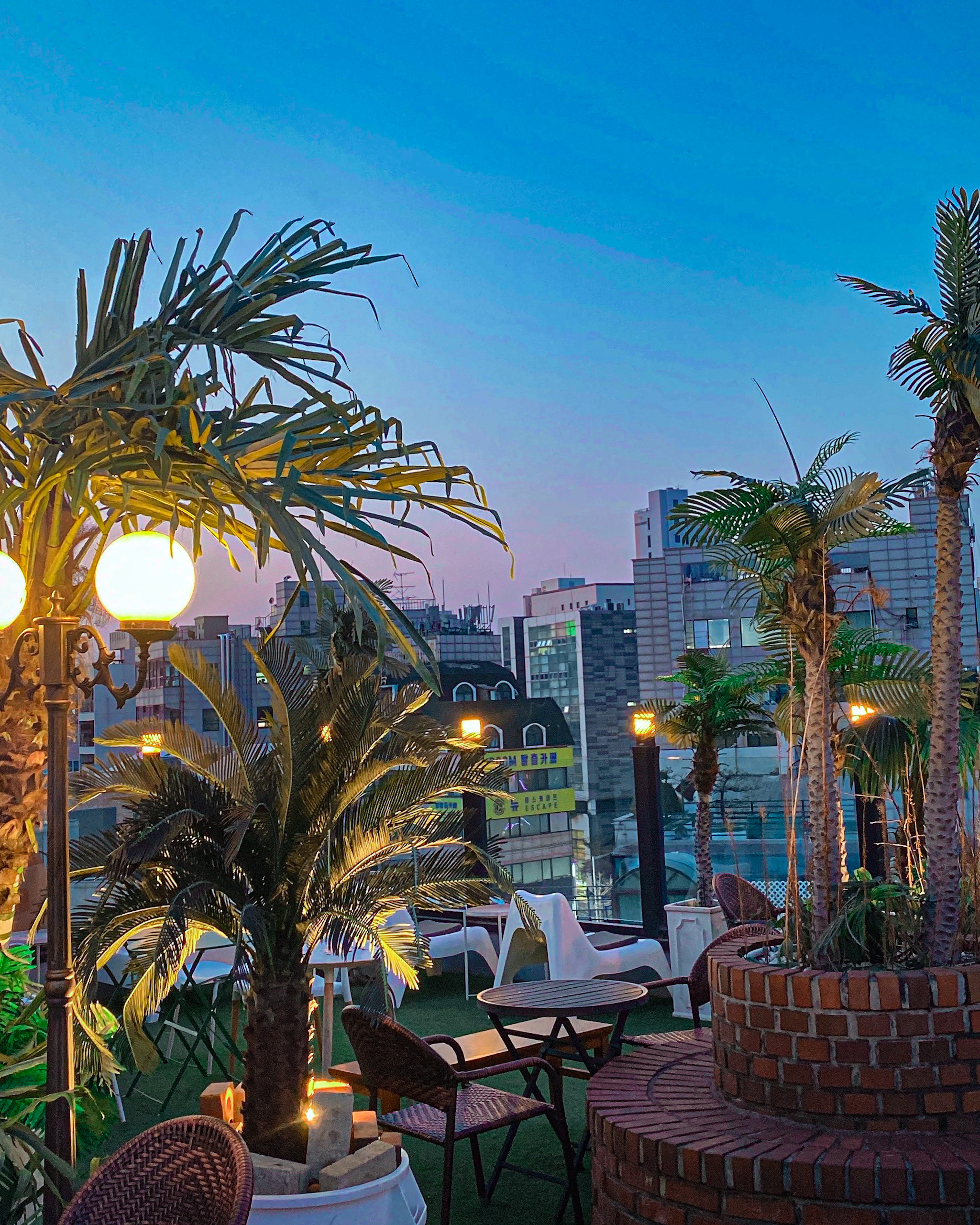 Rooftop bar terrace at twilight with palm trees, bistro seating, and glowing globe lights
