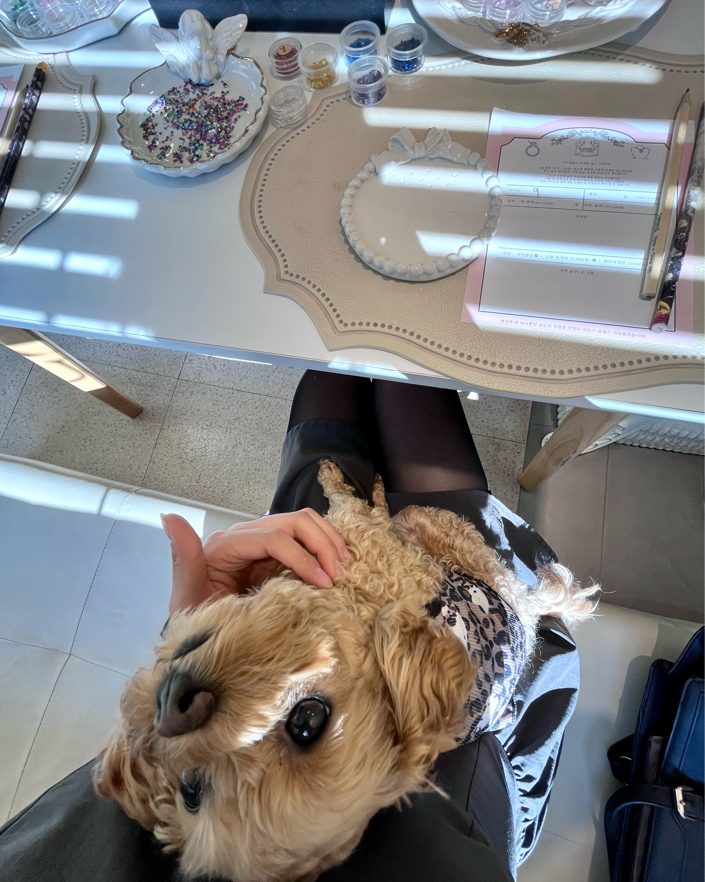 Workshop desk setting with craft supplies, order form, and companion dog.