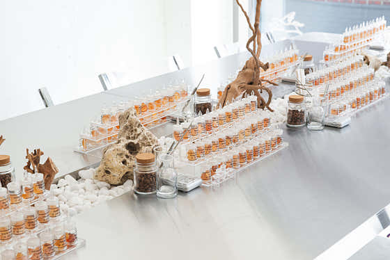 A perfume making workspace featuring rows of fragrance sample bottles and natural decor