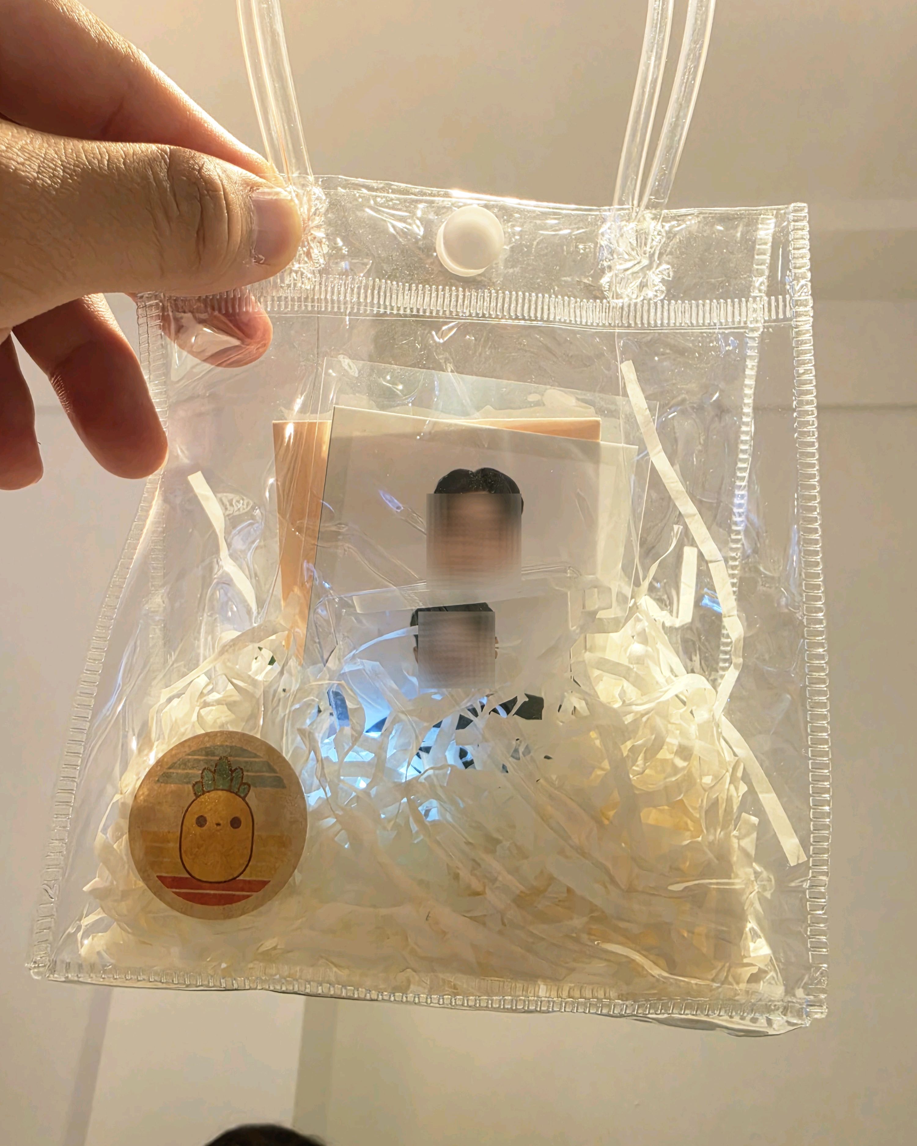Clear button-fastened souvenir pouch holding packaged prints and pineapple emblem sticker