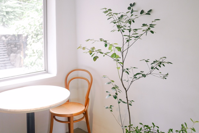 A wooden bentwood chair sits by a white marble-topped table and a green indoor tree next to a bright window