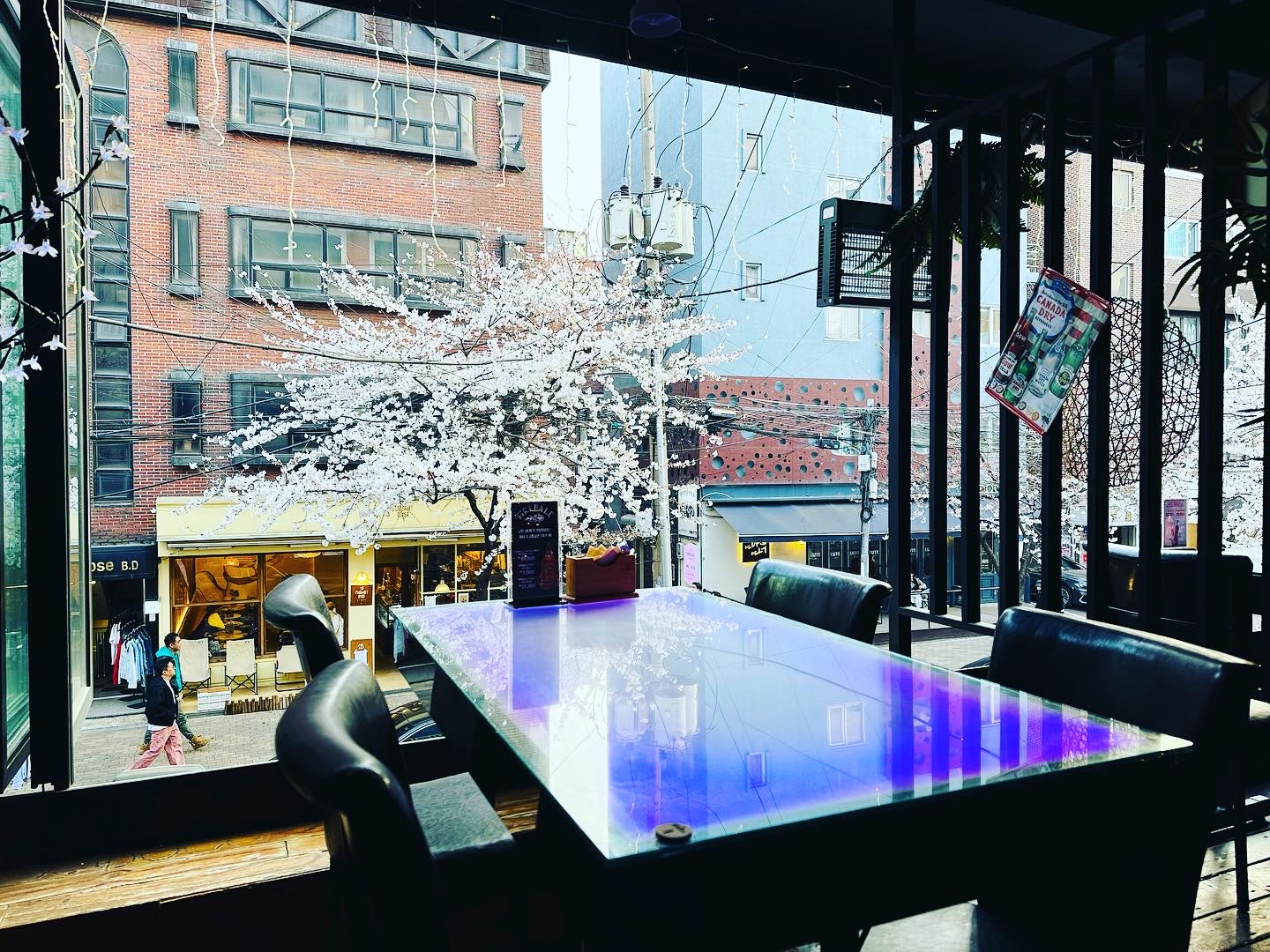 Ambient table setting with street view