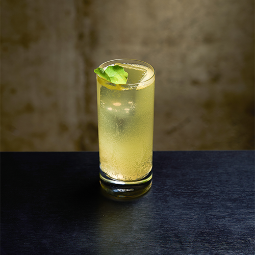 A clear tall cocktail glass with a light yellow carbonated beverage, topped with a green leaf garnish, resting on a black surface.