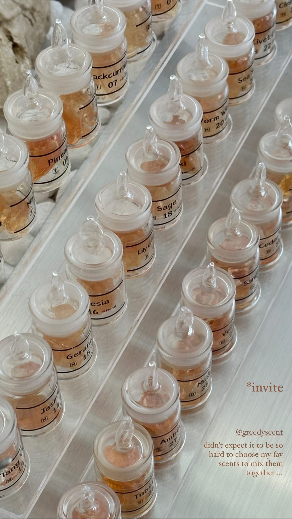 Rows of small glass perfume sample bottles labeled with scent names on a display rack