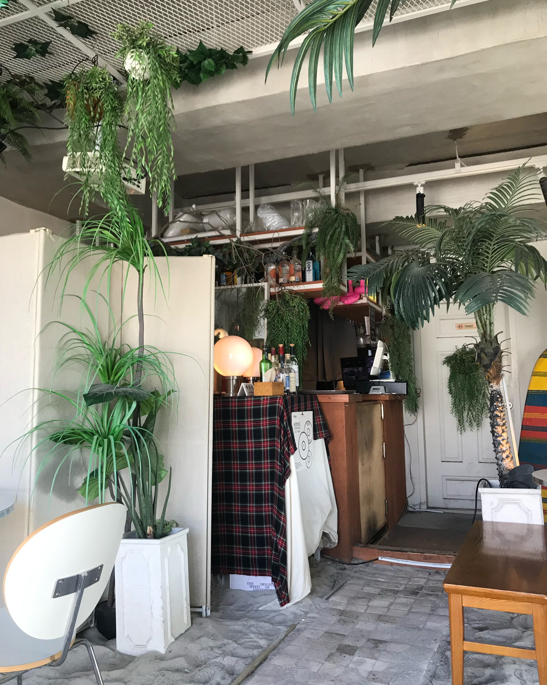 Indoor beach sand floor with tropical potted palms and ambient bar lighting