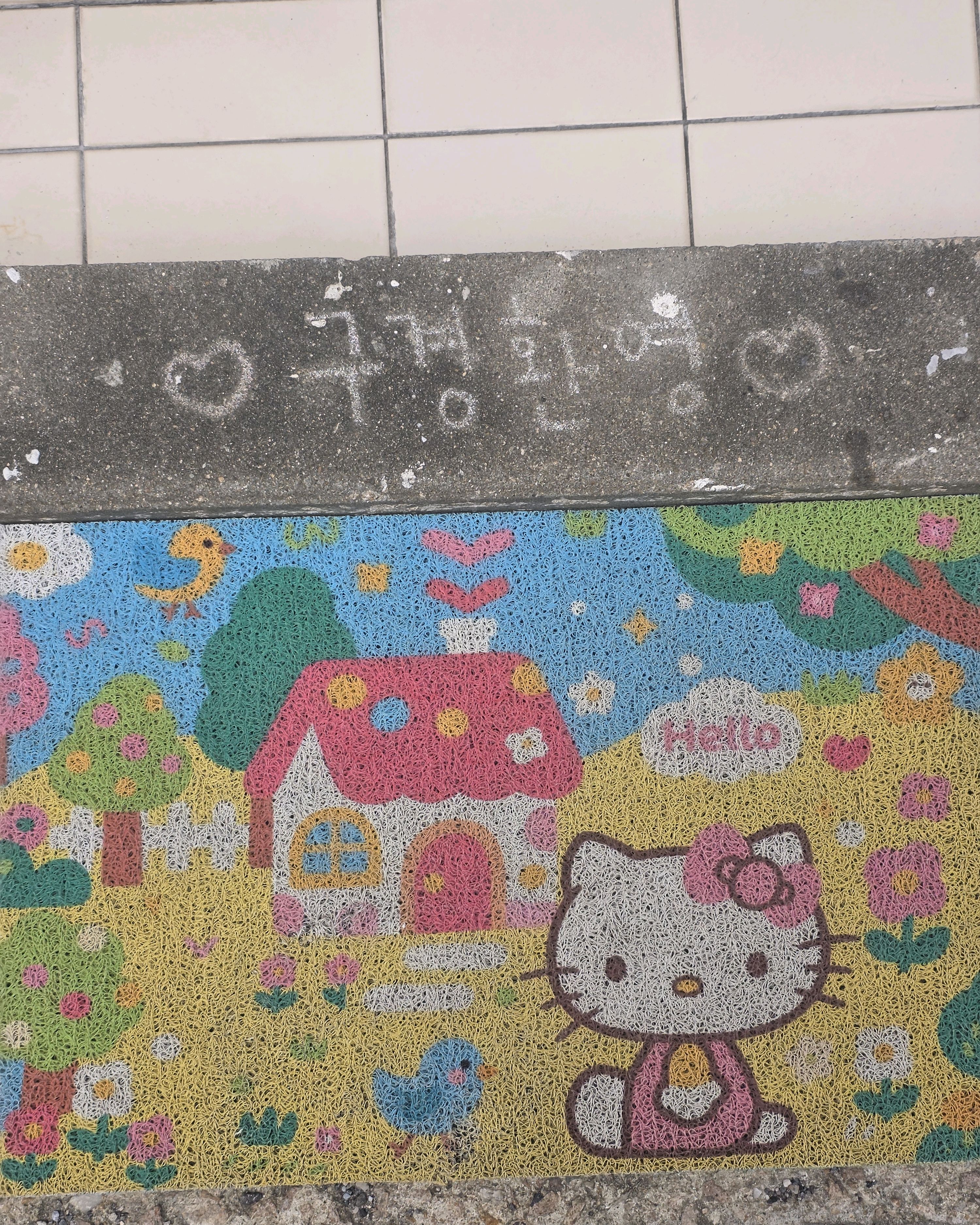 로아연남 photo