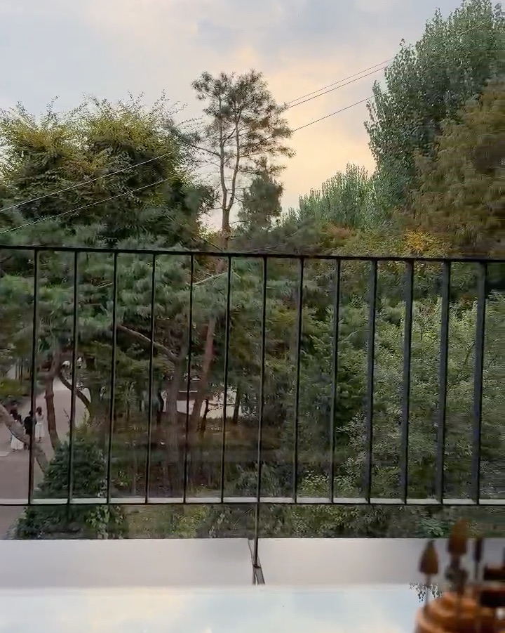 A view from an indoor balcony looking out over lush green trees in a park at sunset