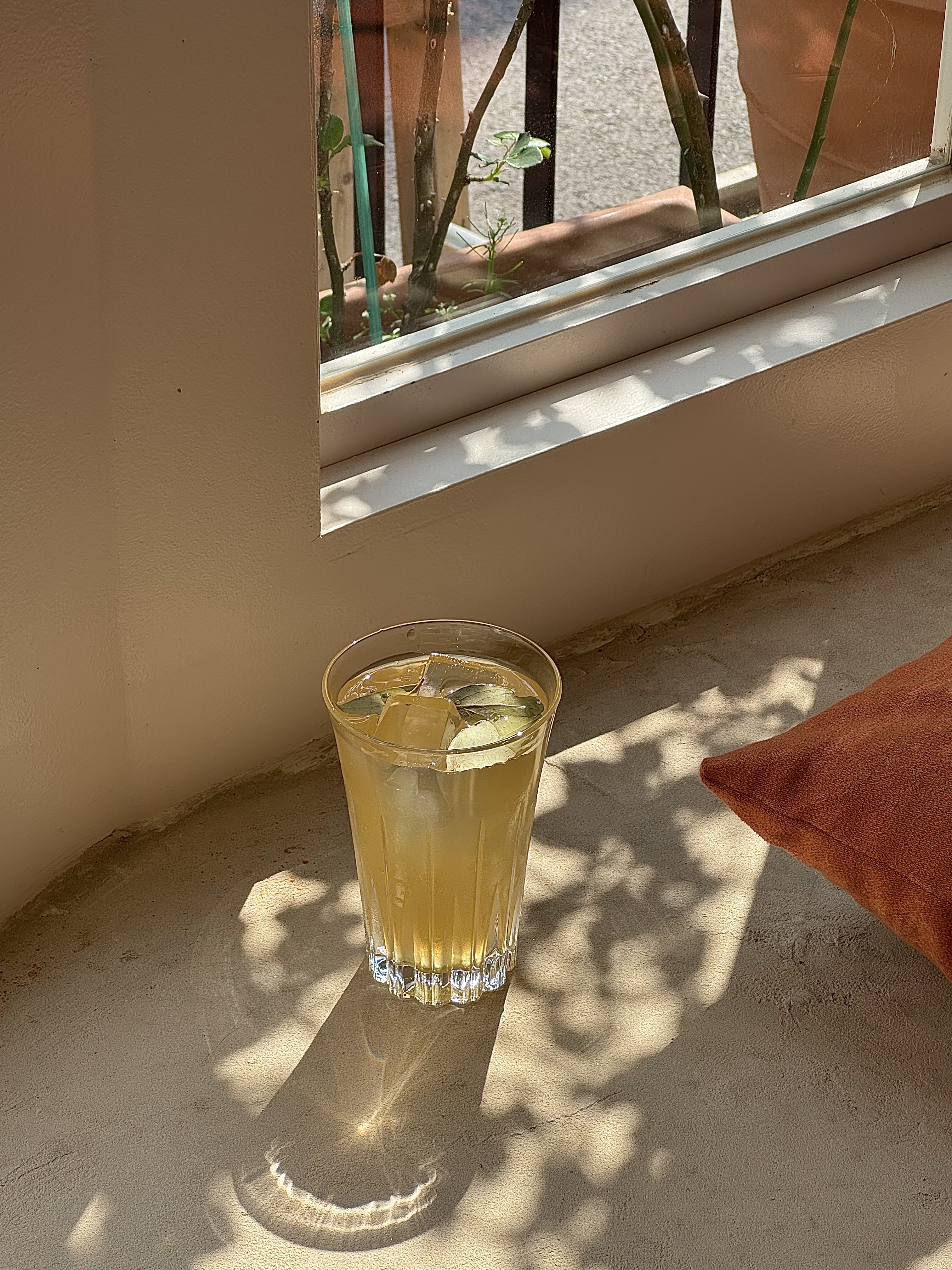Chilled beverage resting on a sunlit windowsill with soft leaf shadows