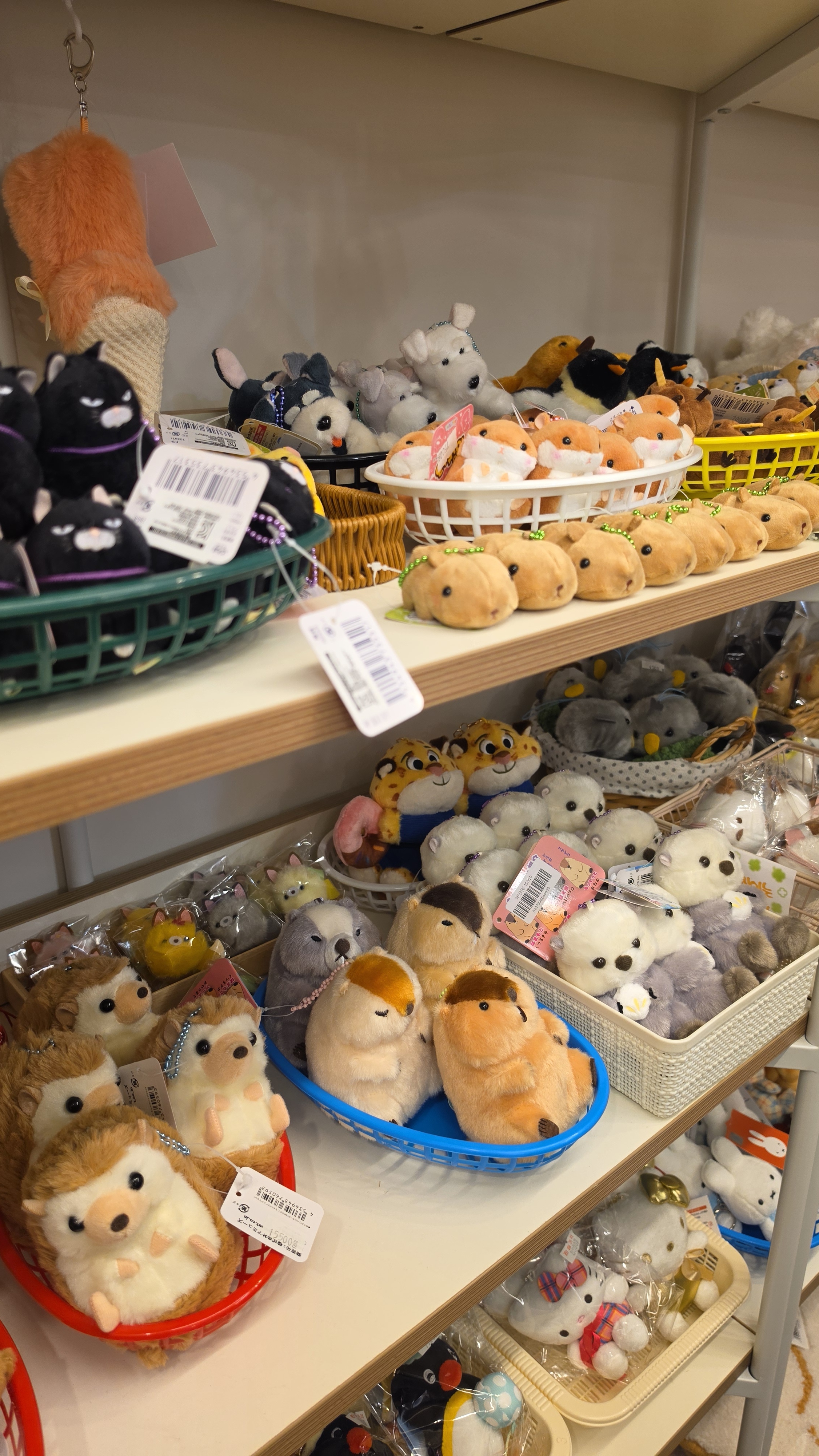Retail shelves arranged with small animal keychains and plushies in baskets