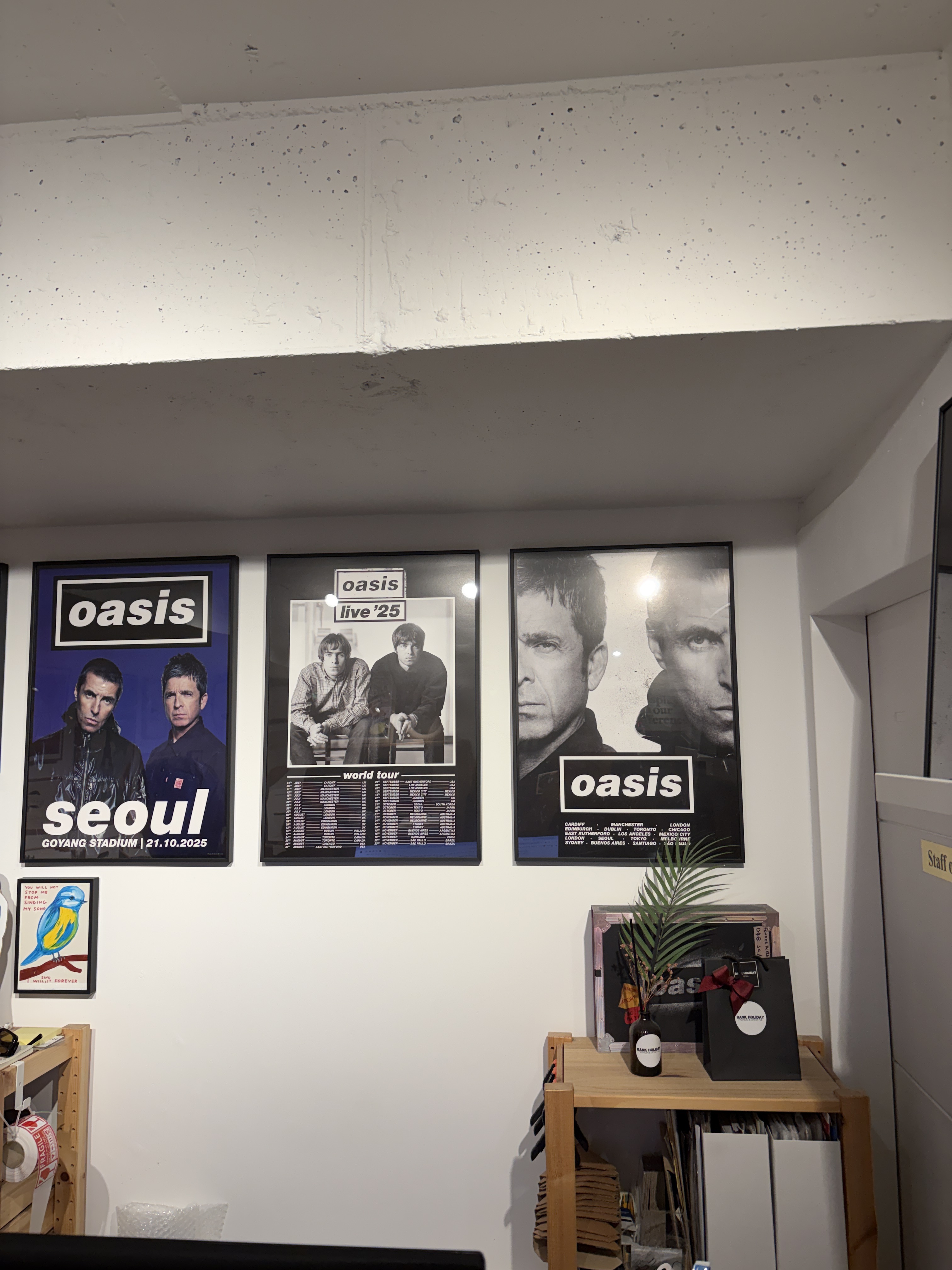 Three Oasis concert posters displayed on a white wall in an interior space