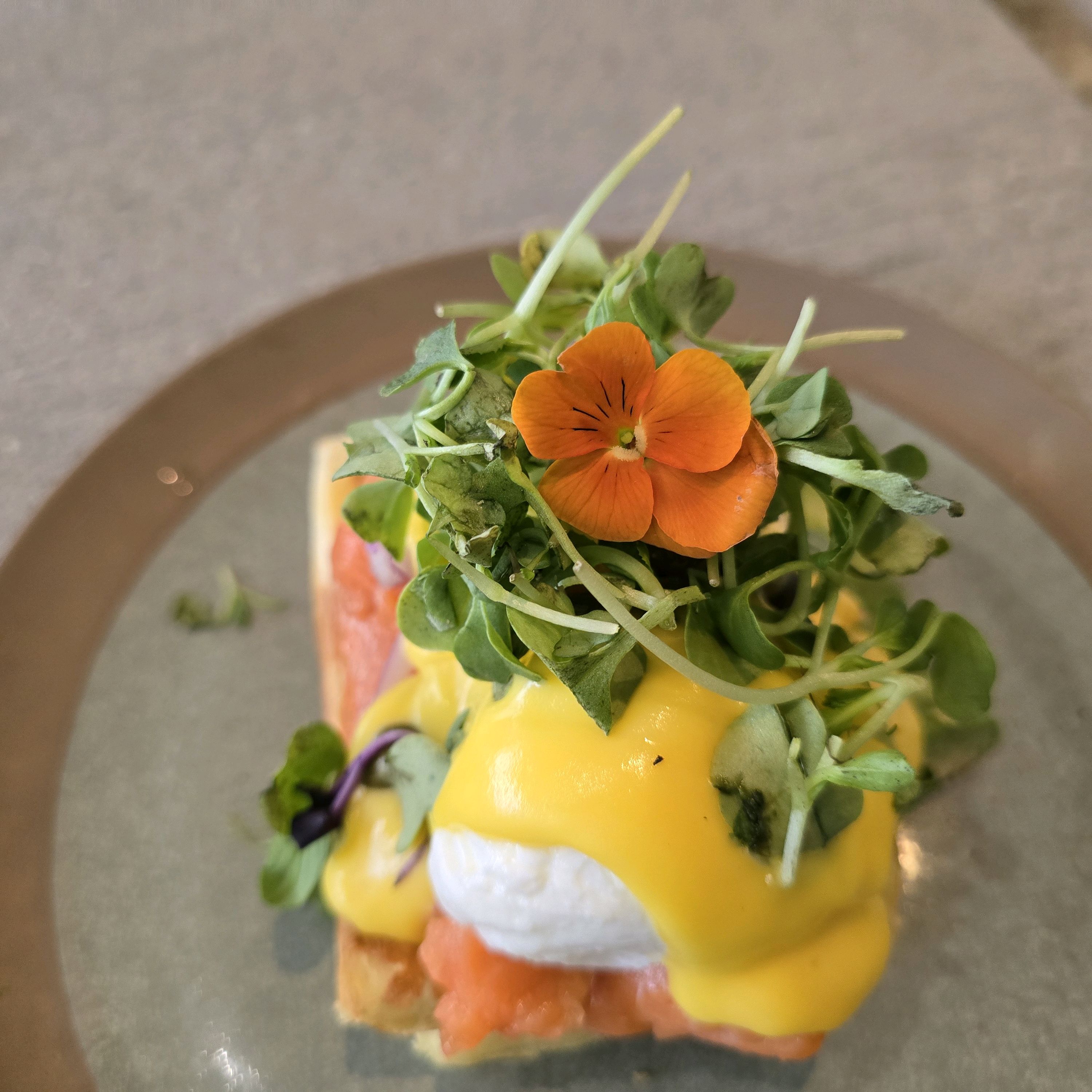 A gourmet brunch dish with poached egg, smoked salmon, and sprouts garnished with an edible flower on a plate.