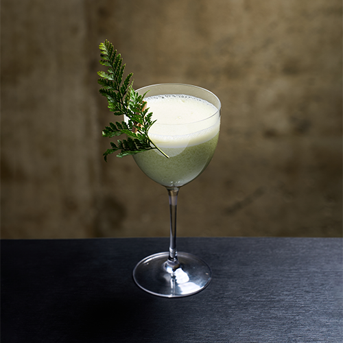 A light green cocktail in a stemmed glass, garnished with a fern leaf, on a black surface against a textured brown wall.
